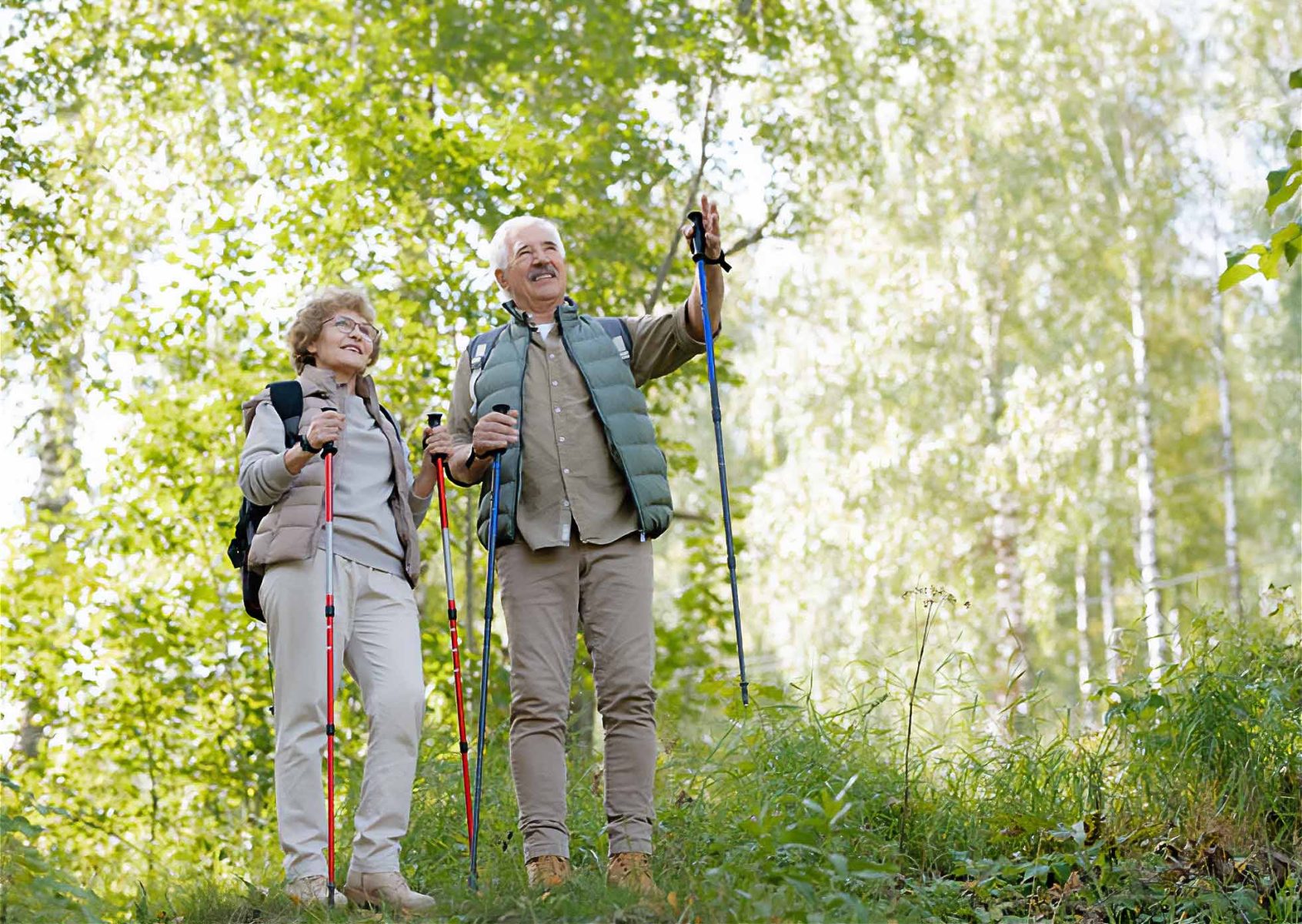 Senior Hikers looking at trees