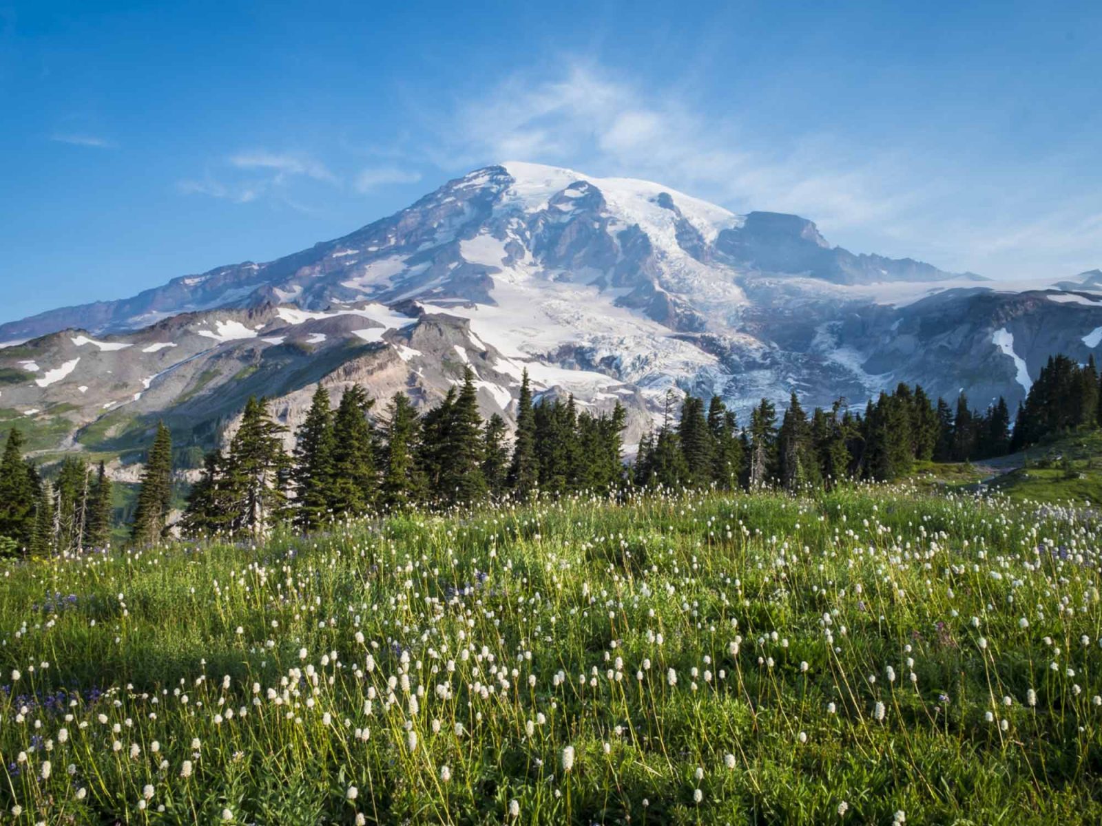 Mt. Rainier beautiful landscape photo